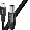 Audioquest Diamond USB B - C Cable