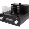 Auris Nirvana IV Desktop Tube Amplifier